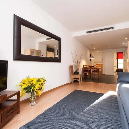 Short Group Liceu Serviced