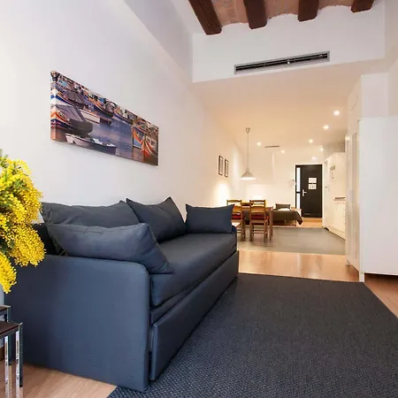 Apartment Short Group Liceu Serviced